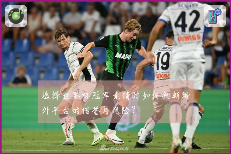 选择世界杯冠军竞猜时如何判断海外平台的信誉与风险？
