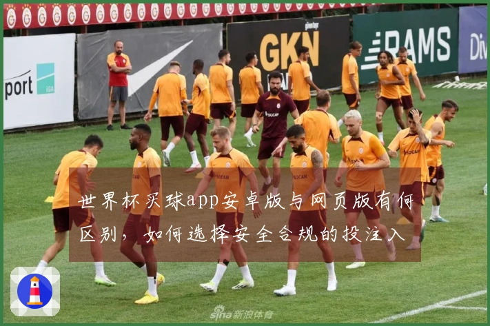 世界杯买球app安卓版与网页版有何区别，如何选择安全合规的投注入口