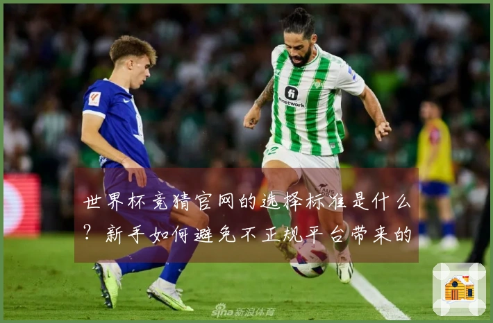 世界杯竞猜官网的选择标准是什么？新手如何避免不正规平台带来的风险？