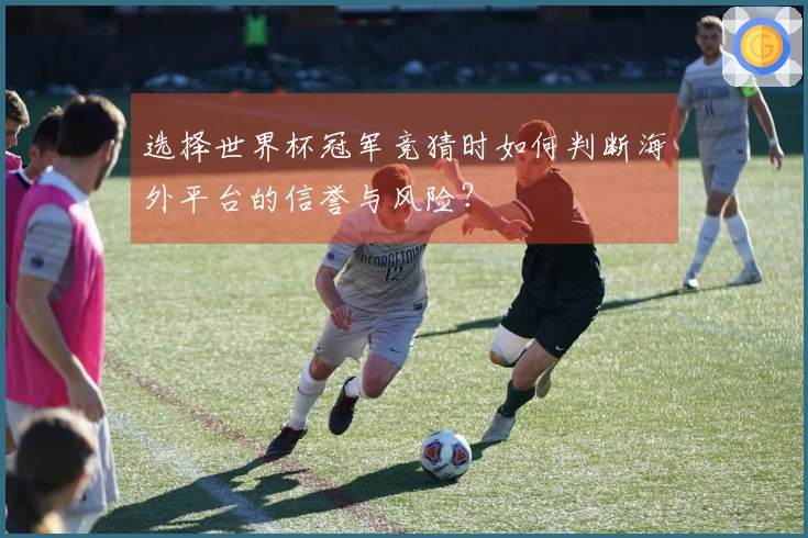 选择世界杯冠军竞猜时如何判断海外平台的信誉与风险？